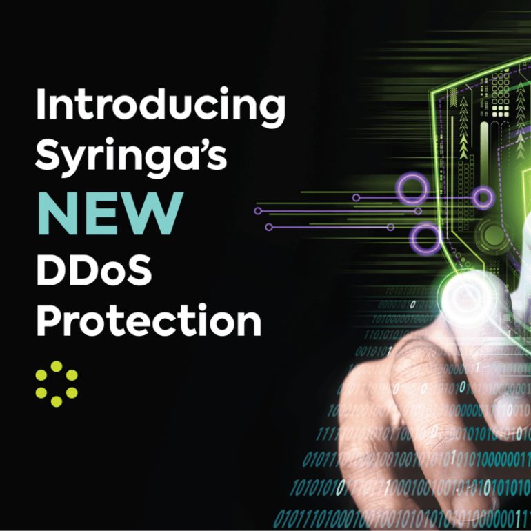 boise-ddos-protection-2